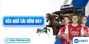 Kèo Nhà Cái Hôm Nay: Cách Đọc Chuẩn Xác Trước Khi Xuống Tiền